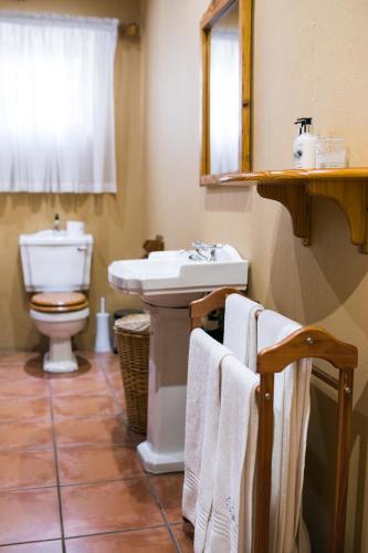 a bathroom with a sink and a toilet at Van Dykshuis Guest House in Heidelberg