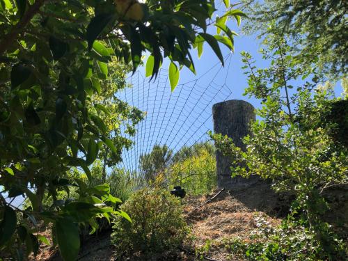 a fence on top of a hill with trees at Cabañas De Madera Y Bungalows - Gilmañas 3 in La Iruela