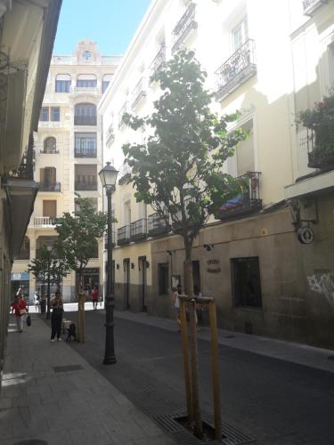 uma árvore no meio de uma rua ao lado de um edifício em New Go Inn em Madri