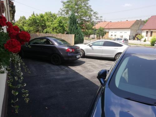 two cars parked in a parking lot with red roses at Gyöngyszem Vendégház in Eger