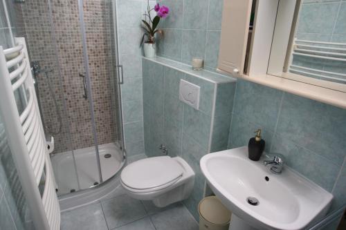 W łazience znajduje się toaleta, umywalka i prysznic. w obiekcie Villa Bartul w mieście Zagvozd