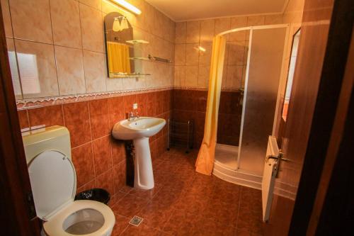 a bathroom with a toilet and a sink and a shower at CASA SORICELU in Săcele