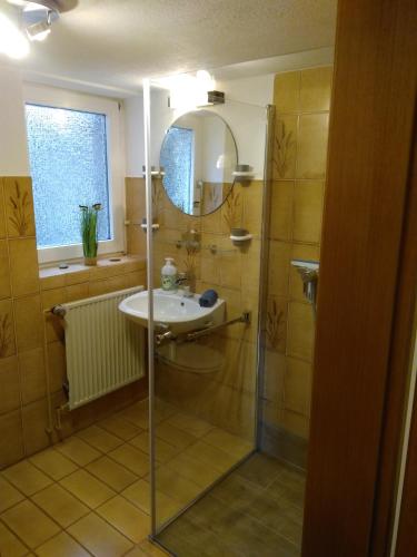 a bathroom with a glass shower and a sink at Ostseeurlaub-Asmussen Nieby in Nieby
