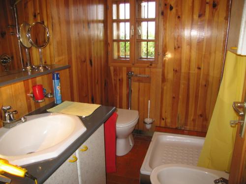 a bathroom with a sink and a toilet and wooden walls at Holiday Home Carovina in Paradiž