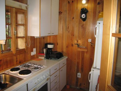 a kitchen with wooden walls and a stove top oven at Holiday Home Carovina in Paradiž