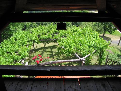 a view from a window of a garden with flowers at Holiday Home Carovina in Paradiž