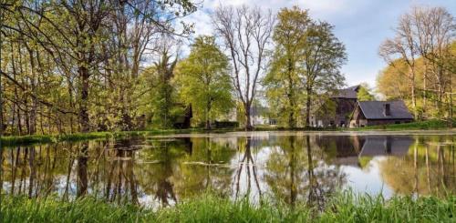 a lake with a house in the middle of it at Hotel Restaurant Zum Landmann in Wenden