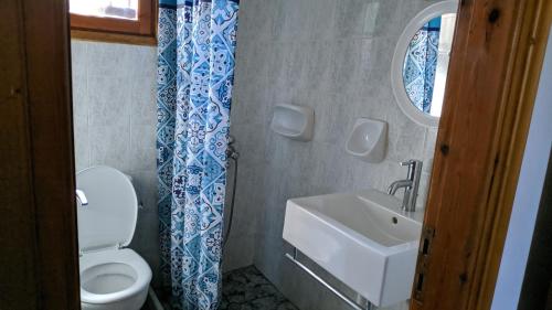 a bathroom with a toilet and a sink and a mirror at Tramonto Nel Delfini in Kini