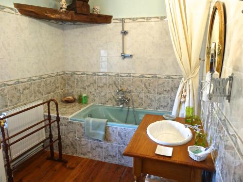 a bathroom with a bath tub and a sink at Château Les Vallées in Tournon-Saint-Pierre