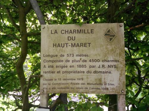 a sign for a hair market in front of a tree at Votre Horizon in Aywaille