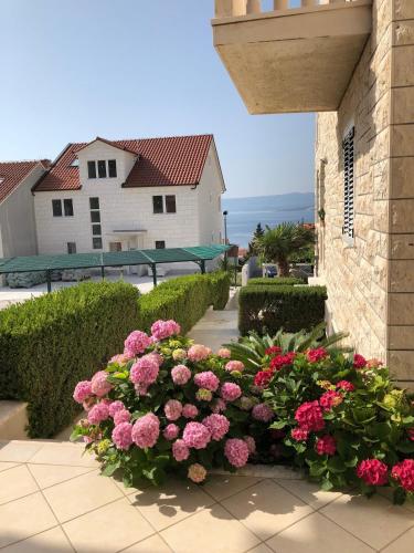 Gallery image of Apartmani ROBERTA in Bol