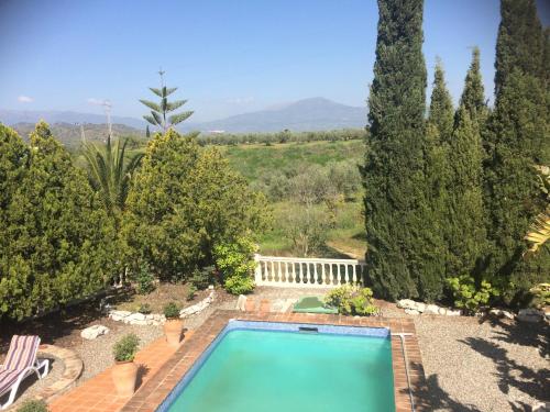 a swimming pool in a garden with trees at Villa de La Rosa in Málaga