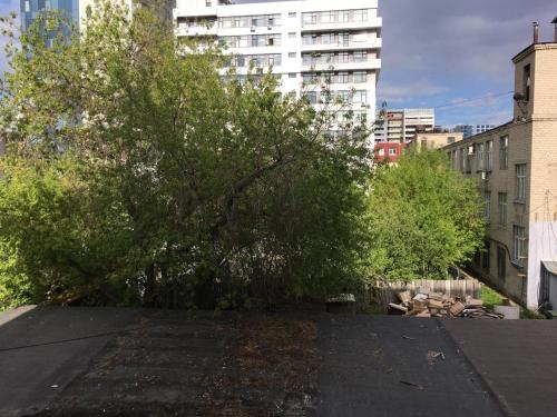 a tree sitting on the roof of a building at SPACE Aparts and Rooms in Yekaterinburg