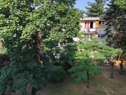 an overhead view of trees in front of a building at Chrobrego 269 in Biała Podlaska