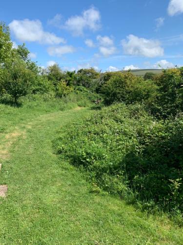 Private Countryside Holiday Cabin 10 mins from Brighton photo 7
