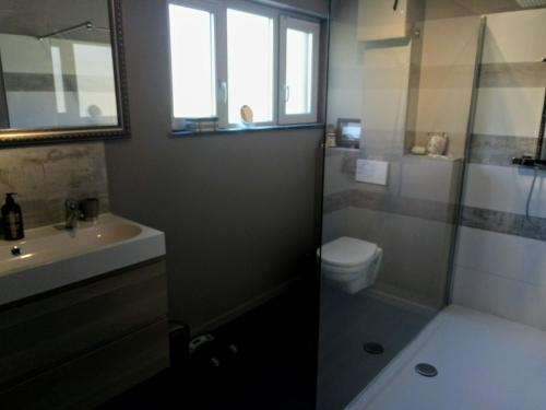 a bathroom with a shower and a toilet and a sink at Maison à la porte des Ardennes in Verviers