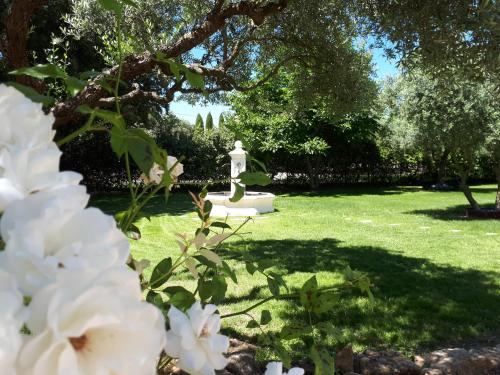 uma sepultura num jardim com flores brancas em la réveuse em Gordes
