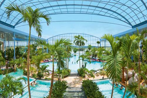 an overhead view of a resort pool with palm trees at Hotel Zum Prinzen Sinsheim in Sinsheim