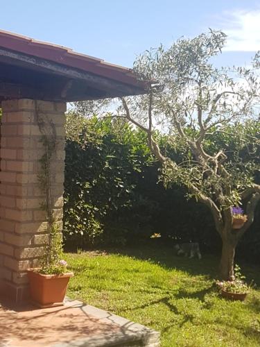 a yard with a tree and a house at Agricampolungo Monterosi in Monterosi