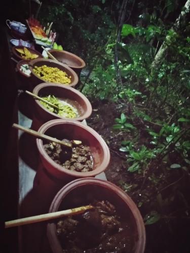 a row of pots filled with plants and flowers at Grand freedom in Sigiriya