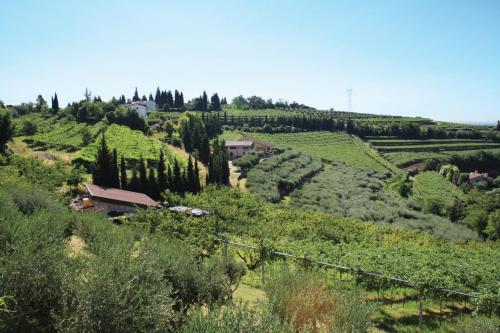 a view of a vineyard with a house on a hill at B&B Al Cristo in SantʼAmbrogio di Valpolicella