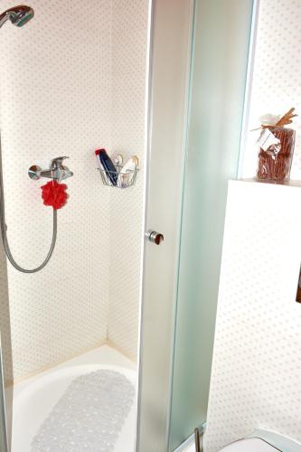 a bathroom with a shower and a toilet at Chalet Slap Na Kupi in Severin na Kupi