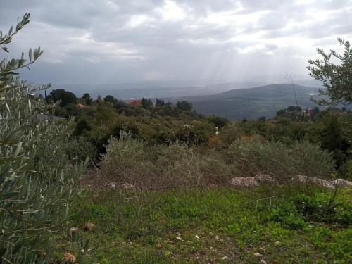 a view of a field of grass and trees at Blue House In The Woods- Amirim in Amirim