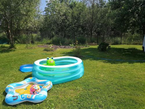 une piscine gonflable bleue avec une grenouille dans l'herbe dans l'établissement Mazurska Niezapominajka, à Sajzy