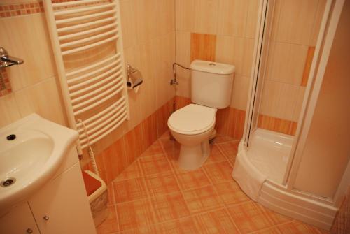 a small bathroom with a toilet and a shower at In Vino Bed & Breakfast in Pohořelice