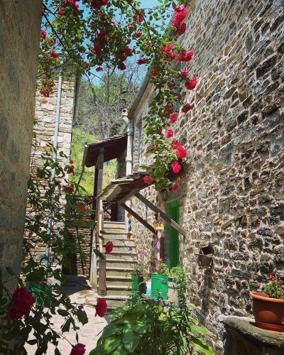 a stone building with roses growing on the side of it at Morfeas Guesthouse in Papigko