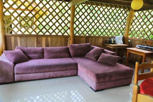 a purple couch in a room with a wooden wall at Hotel & Cabinas Nadine in Cahuita