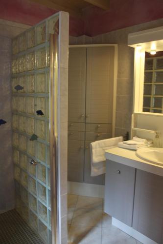 uma casa de banho com um chuveiro e um lavatório. em les agnates em Flagey-Échézeaux