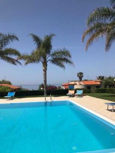 a swimming pool with a palm tree and a house at Villetta Patrizia in Santa Maria