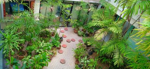 a garden with palm trees and plants in a building at Hotel K T Mutiara in Kuala Terengganu
