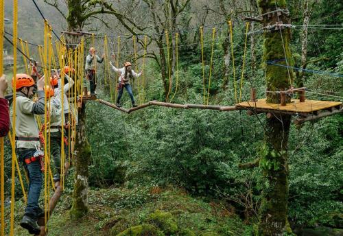 a group of people on a suspension bridge in a forest at Wonderland in Chakvi