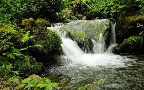a waterfall in the middle of a forest at Wonderland in Chakvi