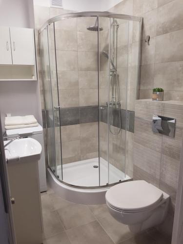 La salle de bains est pourvue d'une douche et de toilettes. dans l'établissement Narutowicza Modern Apartment, à Słupsk