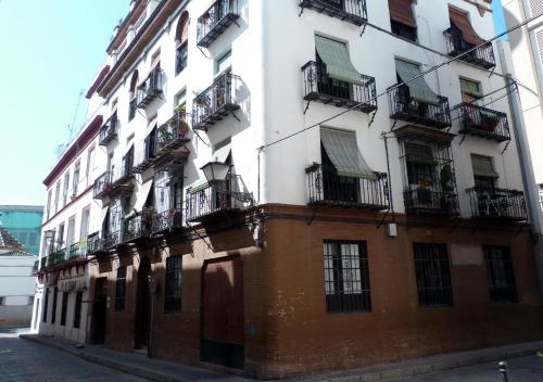 Rodo Arenal photo 7