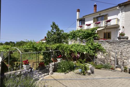 Guest house Tom