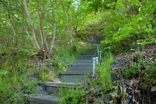 a set of stairs in a forest with trees at Bakkely GuestHouse in Randers
