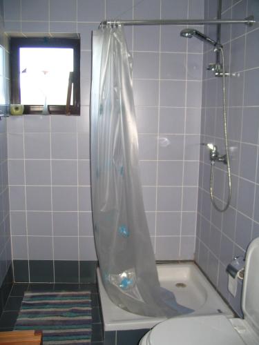 ein Badezimmer mit Dusche, Toilette und Badewanne in der Unterkunft Casa do Castanheiro in Outeiro