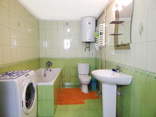 a green bathroom with a sink and a washing machine at Cottage Svitanok in Lopushnoye