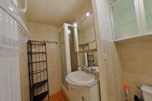 a small bathroom with a sink and a mirror at appartement les deux alpes in Les Deux Alpes