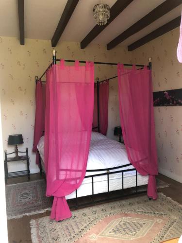 um quarto com uma cama de dossel e cortinas cor-de-rosa em Chez Lysette em Mesnac