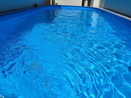 Farm Stay in Croatia with Pool & Forest Views