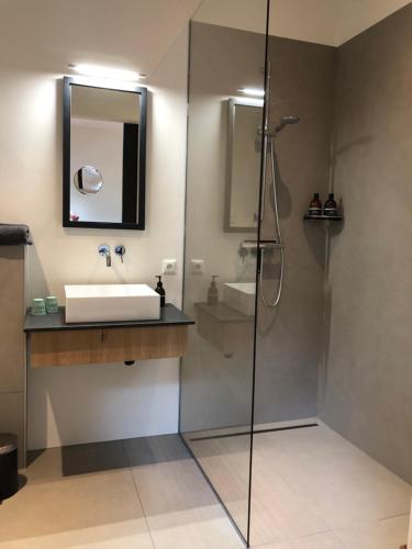 een badkamer met een wastafel en een douche bij B&B Otterstee in Havelte