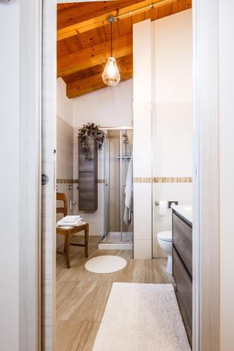 a bathroom with a shower and a toilet and a table at B&B ARMONIE DI CAMPAGNA in Galliera Veneta