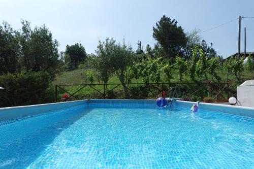 uma piscina com duas pessoas na água em Casa Elena em Ascea