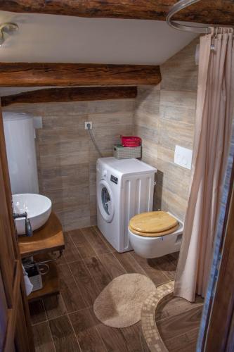 a bathroom with a toilet and a sink at Traditional Stone House St.Anton in Malinska