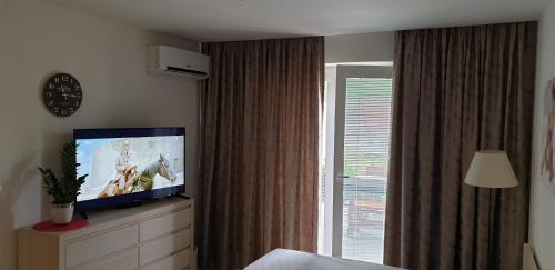 a bedroom with a tv on a dresser with a window at Apartmánový dom DIAMOND apartmán SiMa in Podhájska